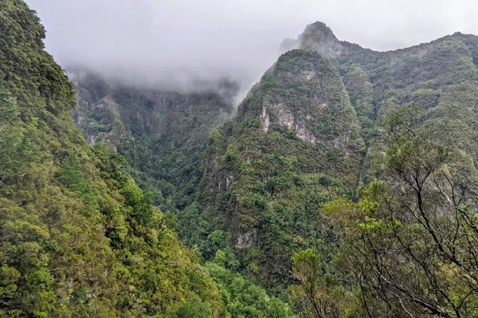 Transfer to Caldeirão Verde Levada Self-Guided Hike Queimadas - Ease of Booking and Cancellation Policy