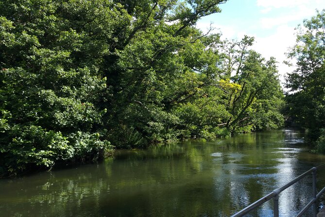 Transfers between Southampton and London via famous attractions - Pricing, Cancellation, and What’s Included