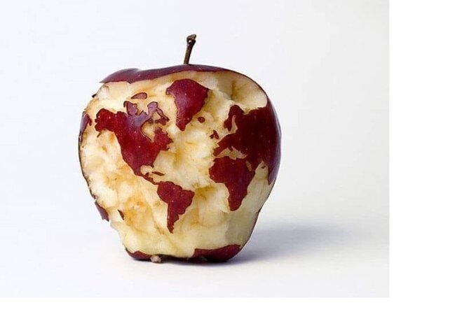 Transfers from Civitavecchia to Fiumicino/Rome - What Makes This Transfer Service Stand Out