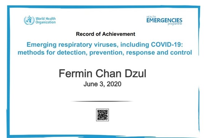 Transfers From Hotel to Hotel - The Experience of a Punctual, Courteous Driver