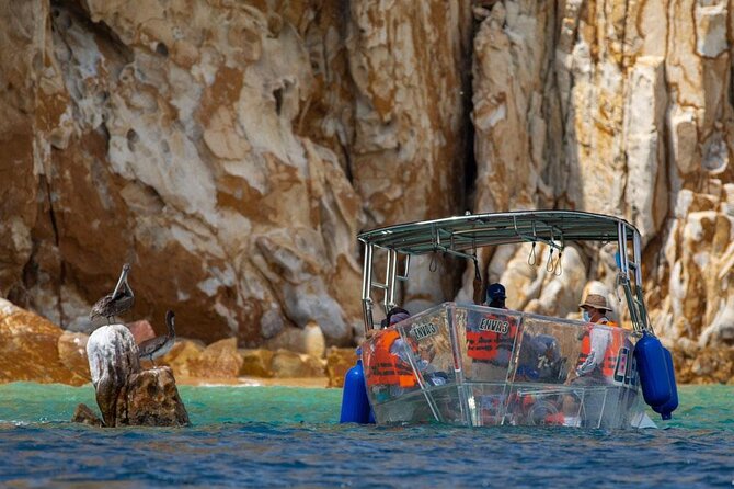 Transparent Boat Tour Cabo San Lucas Arch and Playa del Amor - Practical Details: Meeting Point, Group Size, and Booking