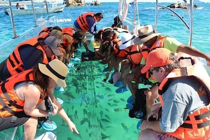Transparent Boat Tour Cabo San Lucas Arch and Playa del Amor - Comparing the Experience to Other Cabo Tours