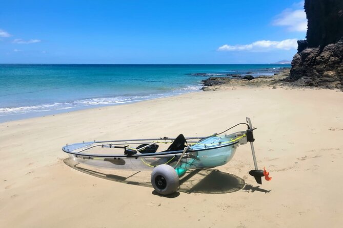 Transparent Electric Kayaks with Guide - Navigating the Coastal Waters of Tarajalejo