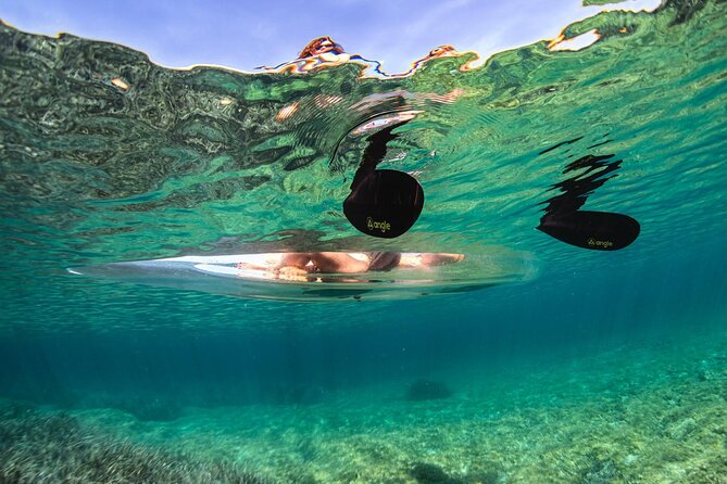 Transparent Kayak Rental - Explore the Underwater World - Customer Satisfaction and Reviews
