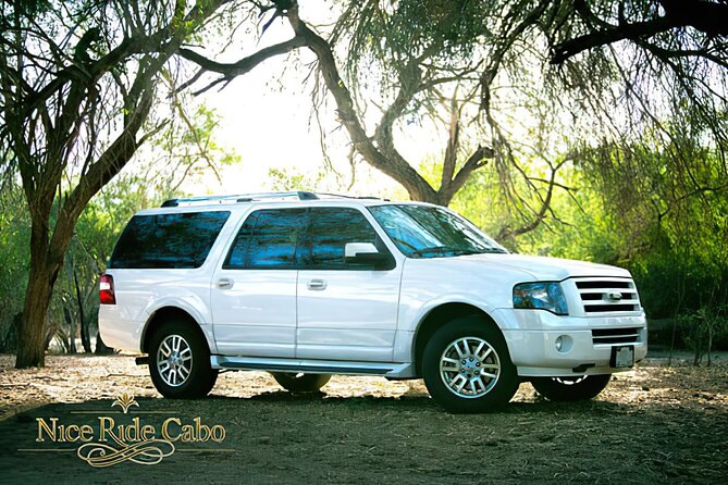 Transportation from Airport to Cabo: Zone 2 - Who Should Book This Transfer: Perfect for Groups and Families