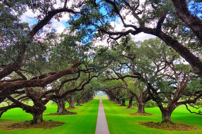 Transportation (Only) to a Plantation - Limitations to Consider