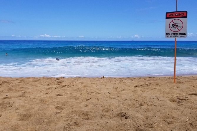 Transportation to North Shore - Why Choose This Shuttle to the North Shore for a Day Trip