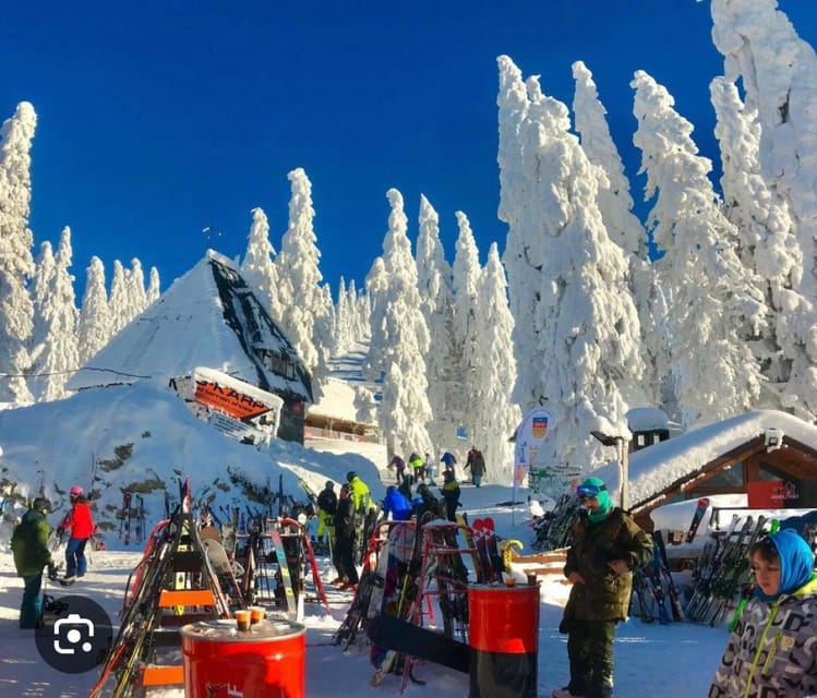 Transylvania: Christmas Markets Private Tour: Brasov & Sibiu - The Majestic Peles Castle in a German Renaissance Style