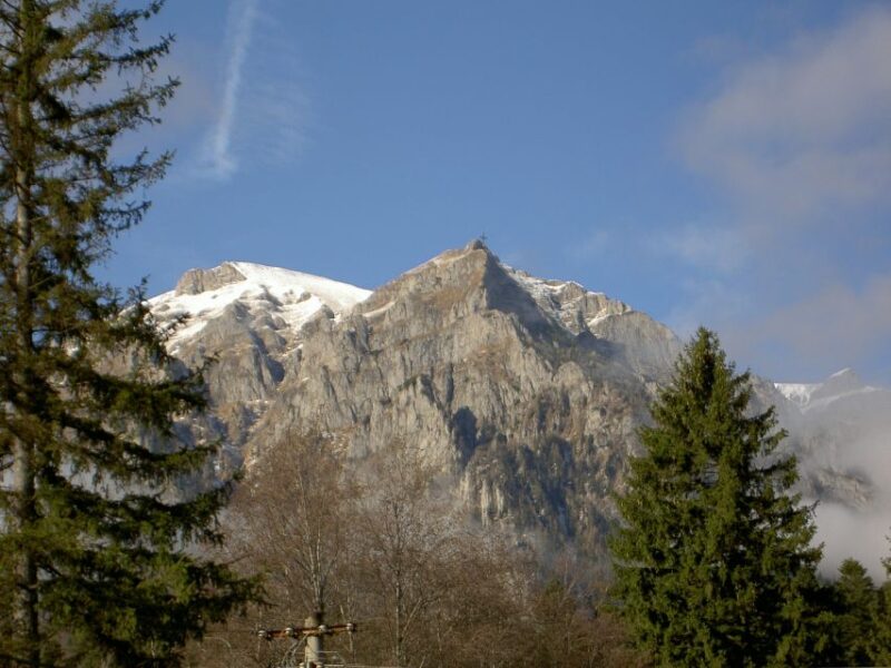 Transylvania: Cultural Full-Day Trip by Minivan - Explore the Beauty and History of Transylvania in a Full-Day Trip