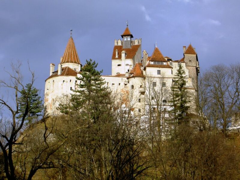 Transylvania: Cultural Full-Day Trip by Minivan - The Tour Schedule and Pacing