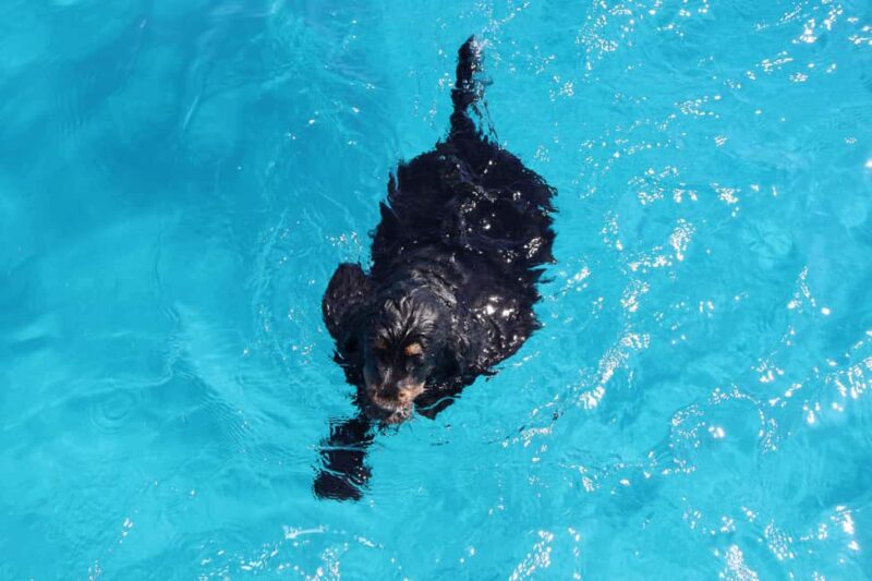 Trapani: favignana and levanzo boat tour - Why This Tour Stands Out