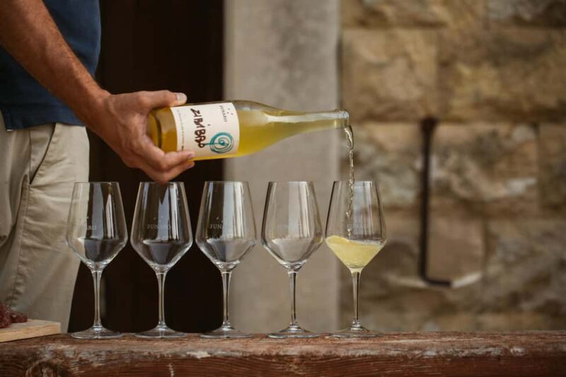 Trapani: Organic Wine Tasting with the Producer - Explore Sicilian Organic Wines with the Producer in Trapani