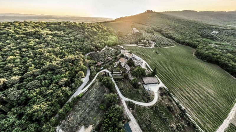 Trasimeno: Discovering Montemelino Wine Experience - Discover Authentic Umbrian Wines with Montemelinos Guided Tour