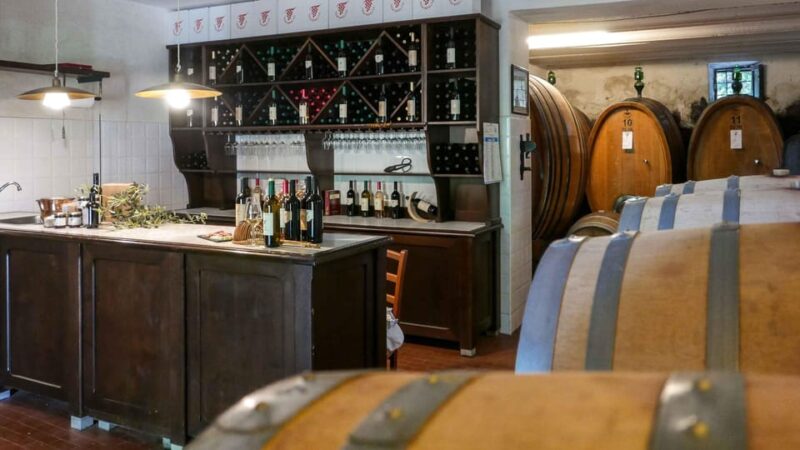 Trasimeno: Discovering Montemelino Wine Experience - Tasting Four Organic Wines Paired with Local Artisanal Products
