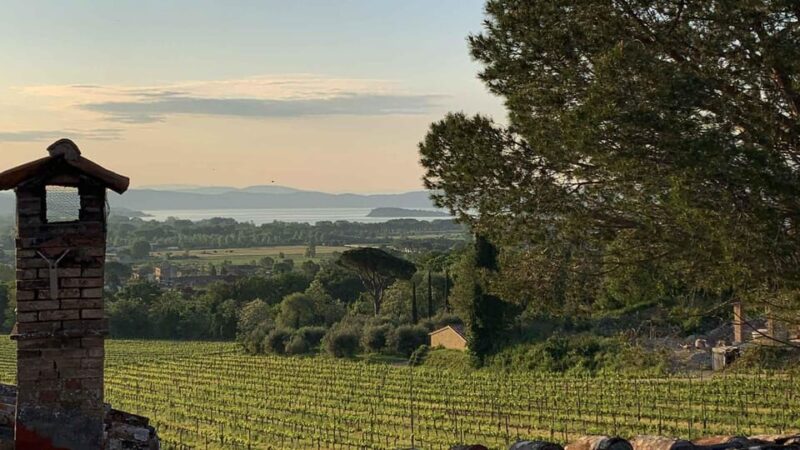 Trasimeno: Discovering Montemelino Wine Experience - Limitations Noted in Reviews