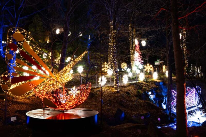 Trauttmannsdorff Castle: Lumagica Light Park Merano 2025/2026 - How the Light Installations Tell a Story