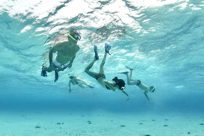 Travel ABOARD A JEEP and visit the most iconic places of Cozumel! - Free Time and Shopping in Downtown Cozumel