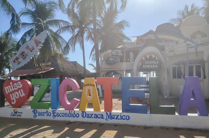 Travel from OAXACA to PUERTO ESCONDIDO by Private Transportation - Flexible Scheduling with Extended Operating Hours