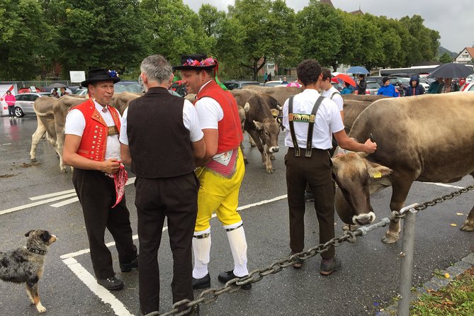 Travel with Swissness - Zurich City Highlights and Optional Chocolate Shop Visit