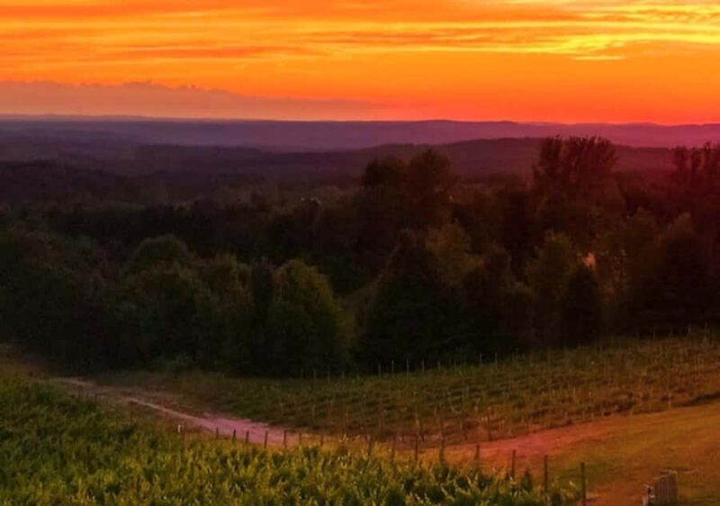 Traverse City: Old Mission Peninsula 4-Hour Sunset Wine Tour - Key Points