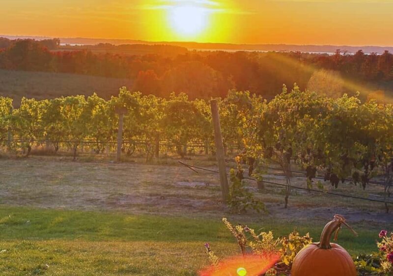 Traverse City: Old Mission Peninsula 4-Hour Sunset Wine Tour - Visiting Chateau Chantal for Panoramic Vineyard Views