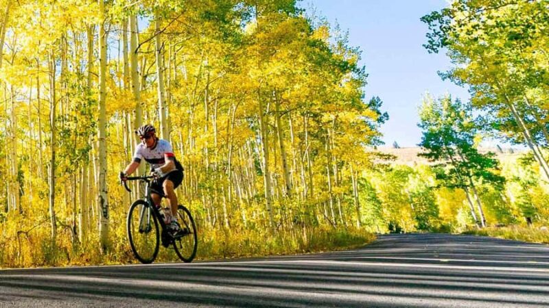 Traverse City: Old Mission Peninsula Bike and Wine Tour - The Route and Physical Expectations