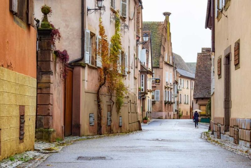 Treasures of Alsace tour: Obernai, Barr, Mittelbergheim, and Mont Saint Odile - Key Points