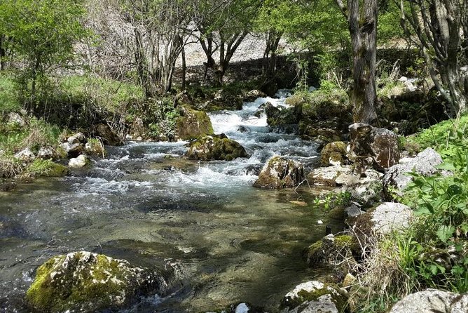 Treasures of Eastern Serbia private tour - Admiring the Veliki Buk Waterfall and Local Cuisine
