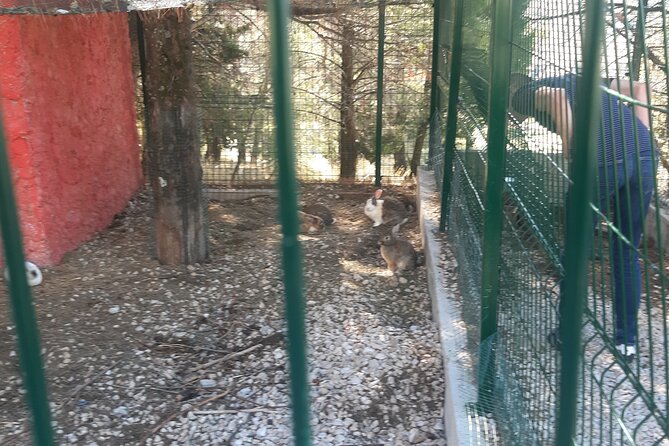 Trebinje Gastro Tour From Dubrovnik - Visiting the Tvrdo Monastery and Religious Sites