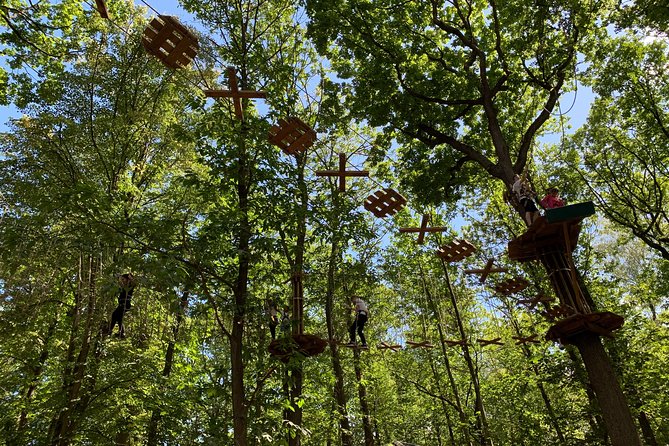 Tree Top Adventure in Forest of Meudon - Reviews Highlight the Variability in Team Quality