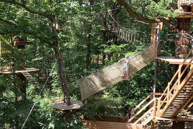Tree Top Adventure in Forest of Meudon - The Value of the Experience