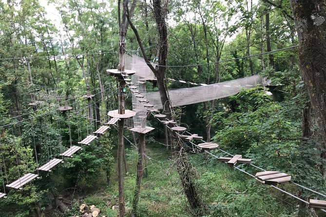 Tree Top Adventure in Rueil-Malmaison - Booking, Payment, and Cancellation Policy