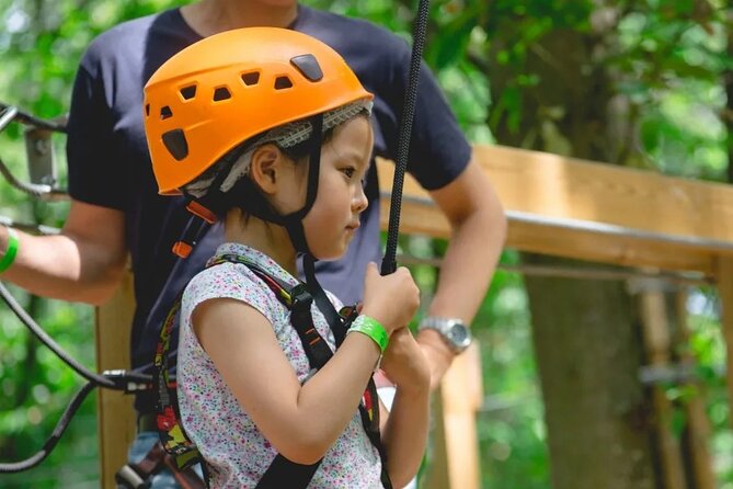 Treetop adventure course in Jablines - Key Points