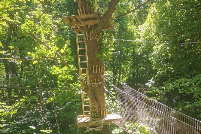 Treetop adventure course in the heart of Poissy - Treetop Adventure Course in Poissy: A Nature-Filled Challenge for Thrill Seekers