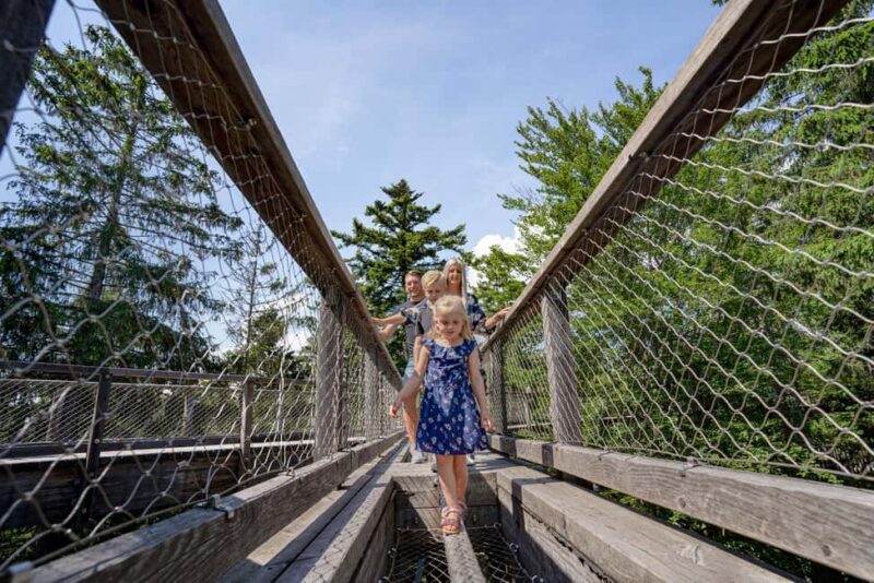 Treetop Walk Bavarian Forest: Discover the world of treetops - Climbing the 44-Meter Egg Tower for Panoramic Views