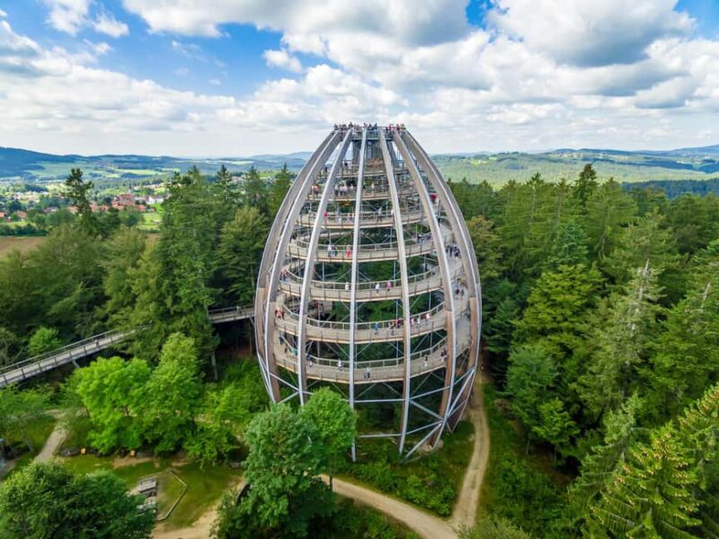Treetop Walk Bavarian Forest: Discover the world of treetops - Booking, Flexibility, and Practical Tips