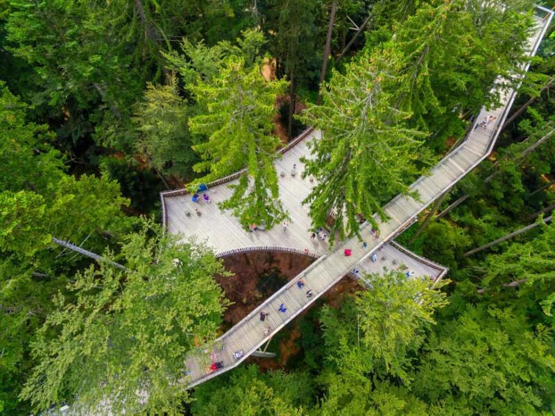 Treetop Walk Bavarian Forest: Discover the world of treetops - Why the Treetop Walk Bavarian Forest Stands Out