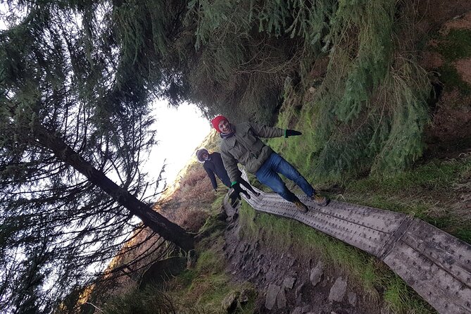 Trek the Tombs and Trails in the Dublin Mountains - Seasonal Wild Berries and Forest Walks