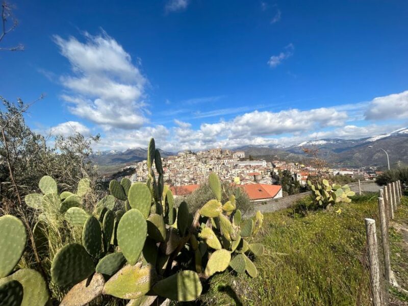 Trekking del Borgo in the village - The Sum Up: Authentic Village Exploration in Castiglione di Sicilia