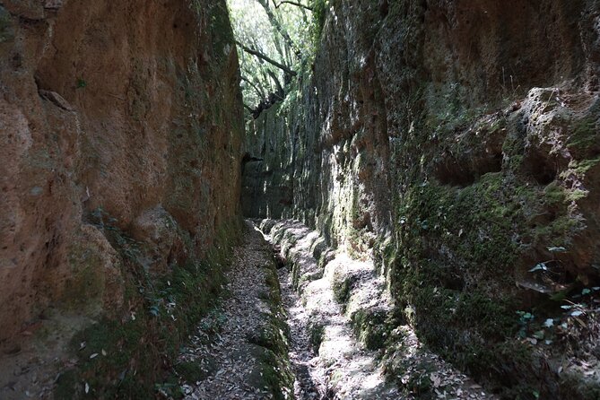 Trekking Excursion History and Nature Necropolis of Norchia from Rome - Medieval Ruins and the 12th Century Di Vico Castle