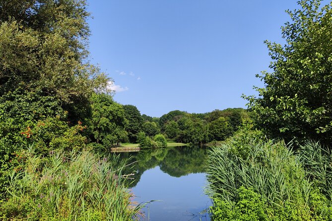 Trekking in the Wood with picnic on the turtles lake - Weather Considerations and Cancellation Policy