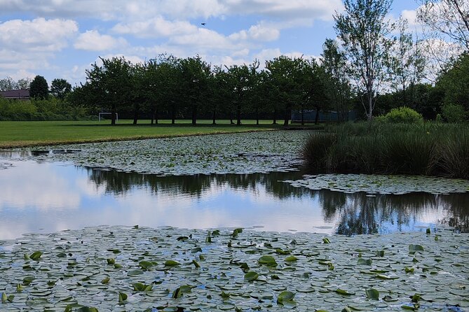 Trekking in the Wood with picnic on the turtles lake - Frequently Asked Questions