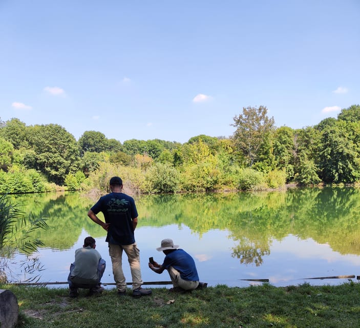 Trekking in the Wood with picnic on the turtles lake - Guided Walk Through Hidden Corners of the Forest