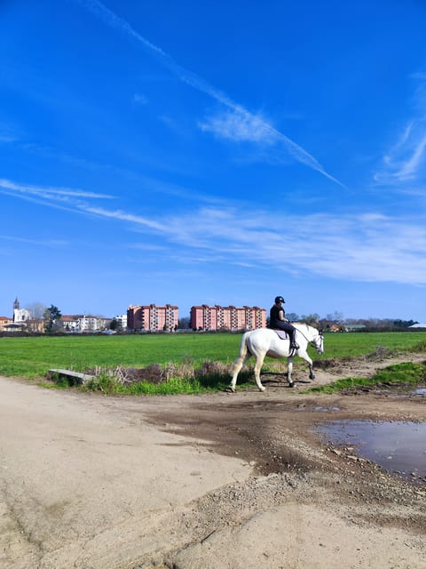 Trekking in the Wood with picnic on the turtles lake - The Lakeside Picnic: Tasting Italian Delicacies