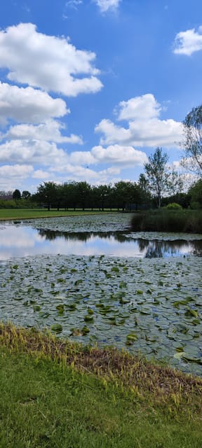 Trekking in the Wood with picnic on the turtles lake - Comparing Similar Experiences in Milan