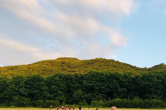 Trekking Rome and Roman Castles: Private Guided Excursions - The Natural Beauty of Castelli Romani’s Trails