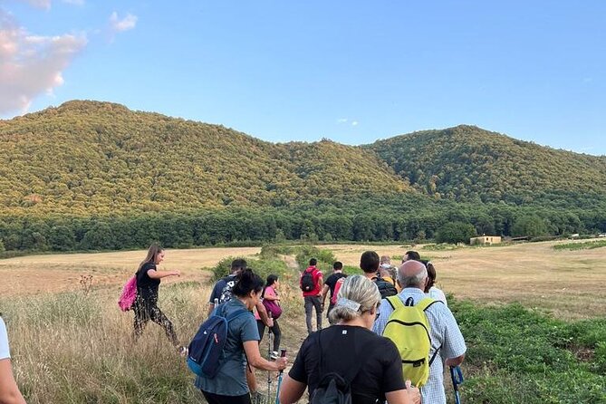 Trekking Rome and Roman Castles: Private Guided Excursions - Value for Money and Booking Flexibility