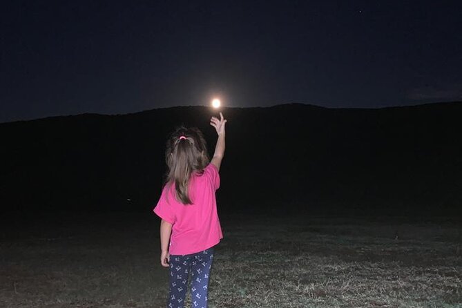 Trekking Rome and Roman Castles: Private Guided Excursions - Final Notes: Who Will Enjoy This Tour?