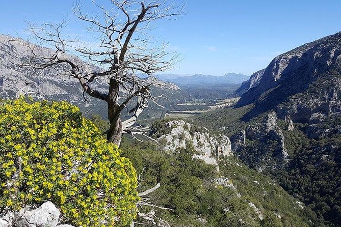 Trekking to Monte Tiscali - Oliena - Expert Guides and Their Role During the Trek