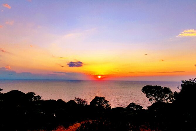 Tremiti Islands from Rodi Garganico: ferry and boat tour - Highlights of San Domino: Coveted Coves and Flora